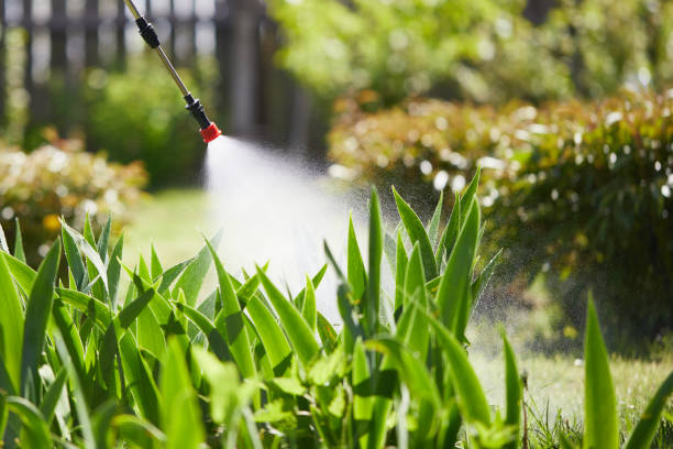 24/7 Emergency Wasp Removal experts in Wasco, CA